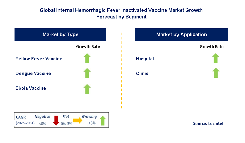 Internal Hemorrhagic Fever Inactivated Vaccine Market by Segment