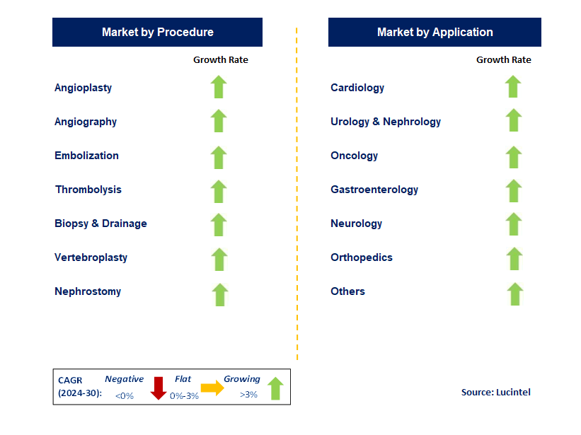 Interventional Radiology Product by Segment