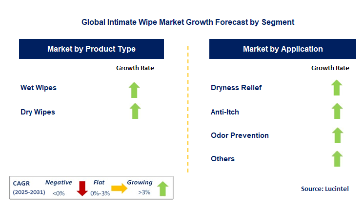 Intimate Wipe Market by Segment