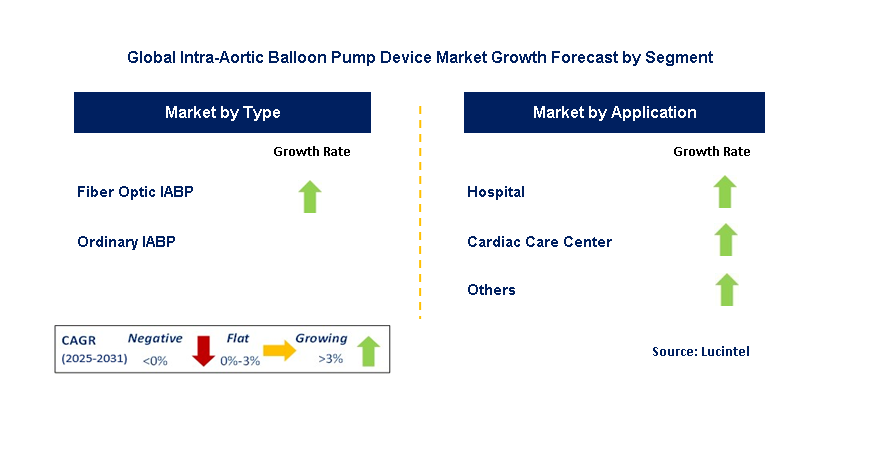 Intra-Aortic Balloon Pump Device Market by Segment