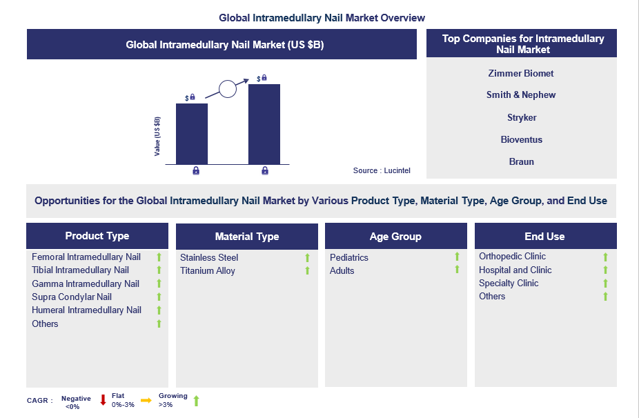 Intramedullary Nail Trends and Forecast