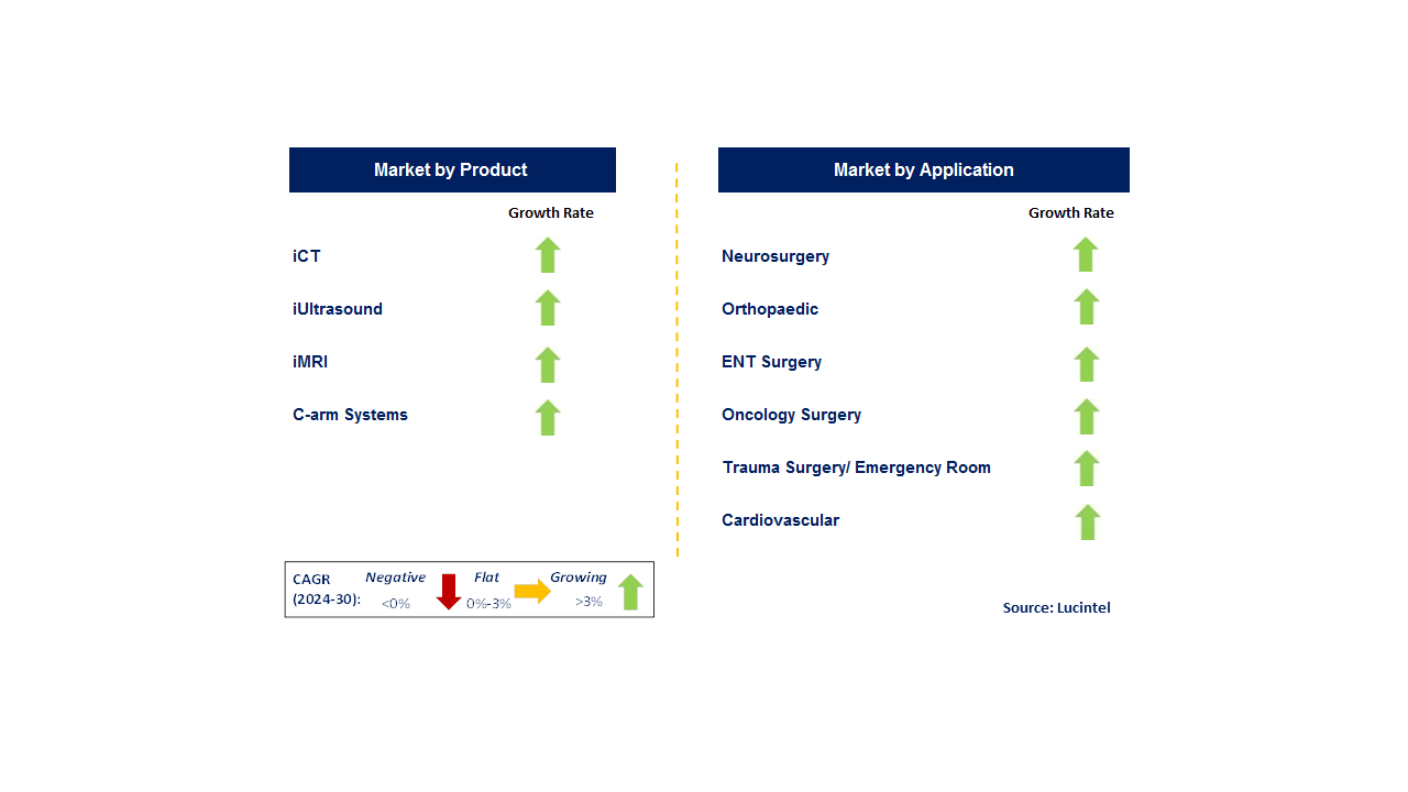 Intraoperative Imaging by Segment