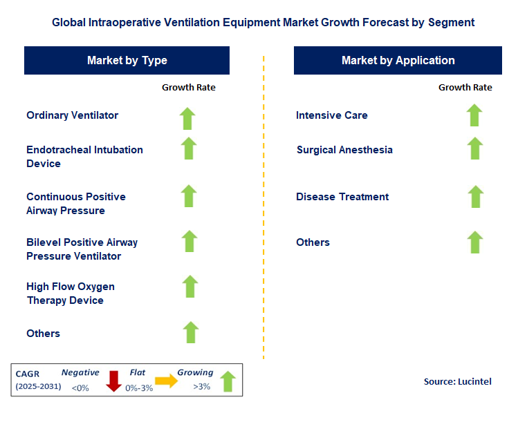 Intraoperative Ventilation Equipment Market by Segment