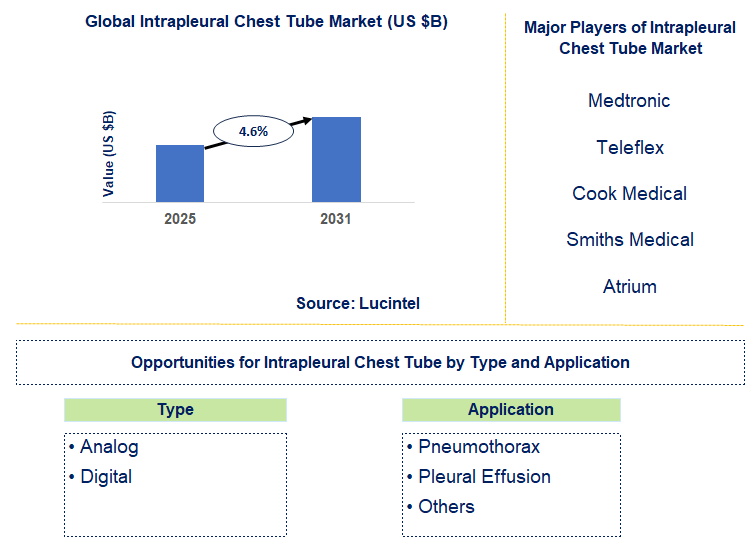 Intrapleural Chest Tube Market Trends and Forecast