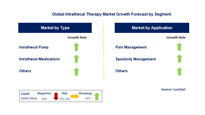 Intrathecal Therapy Market by Segment