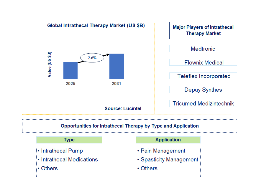 Intrathecal Therapy Market Trends and Forecast