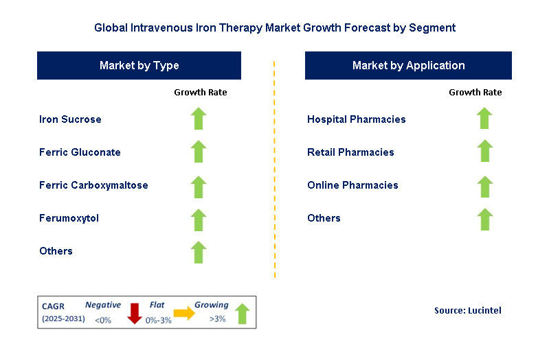 Intravenous Iron Therapy Market by Segment