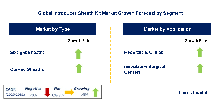 Introducer Sheath Kit Market by Segment