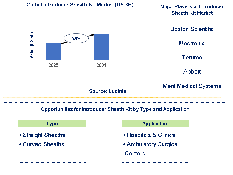 Introducer Sheath Kit Market Trends and Forecast