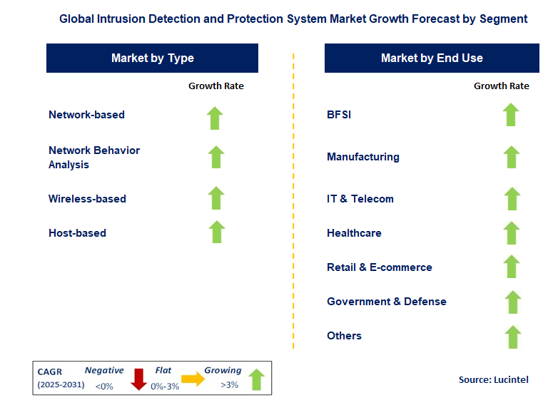 Intrusion Detection and Protection System Market by Segment