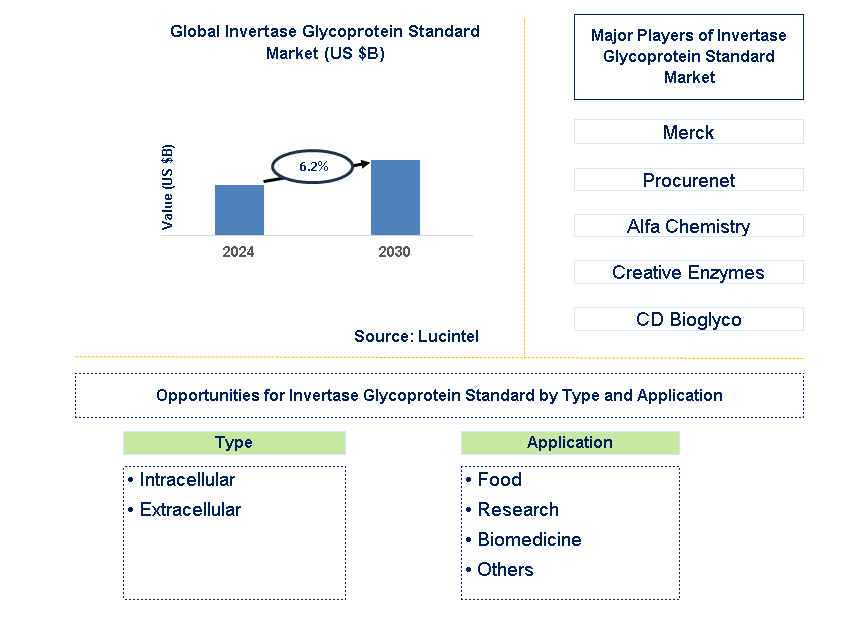 Invertase Glycoprotein Standard Trends and Forecast