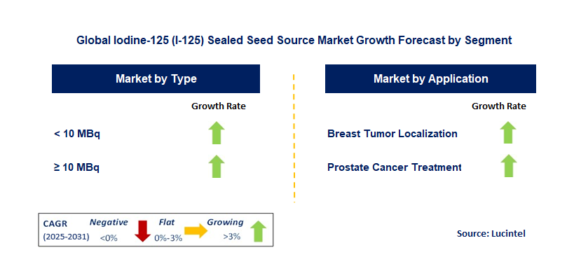 Iodine-125 (I-125) Sealed Seed Source Market by Segment