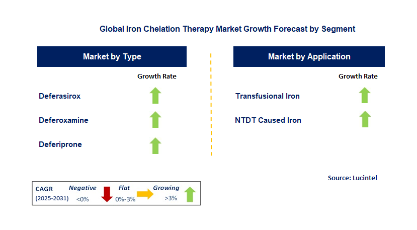Iron Chelation Therapy Market by Segment