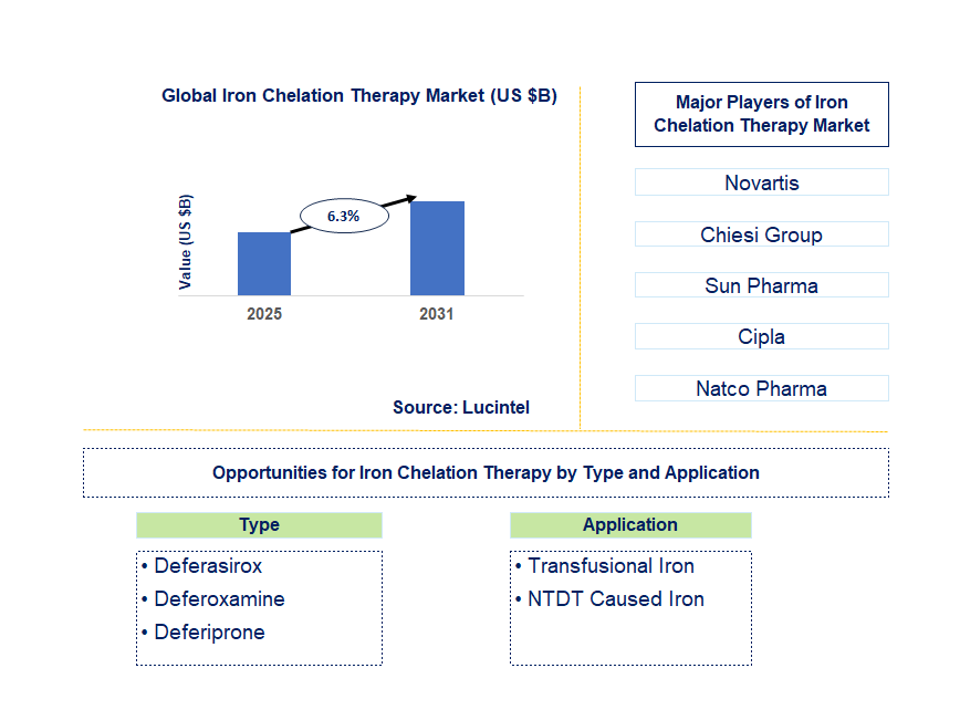 Iron Chelation Therapy Market Trends and Forecast