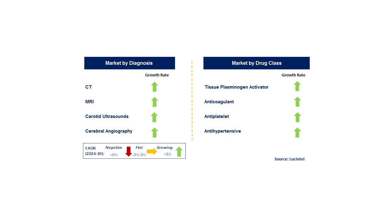 Ischemic Stroke by Segment