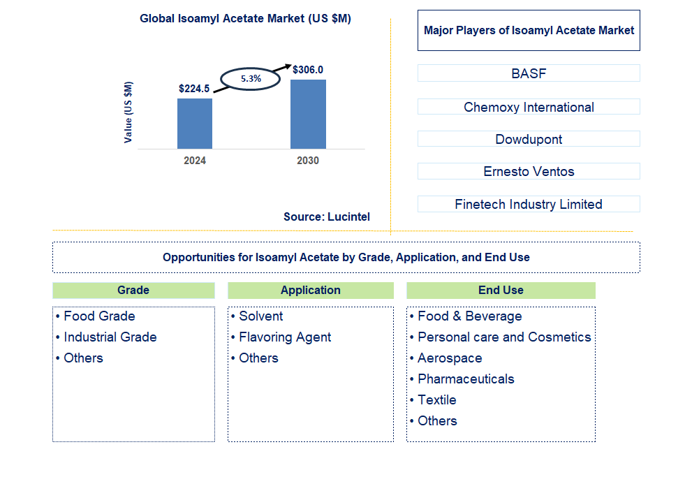 Isoamyl Acetate Trends and Forecast