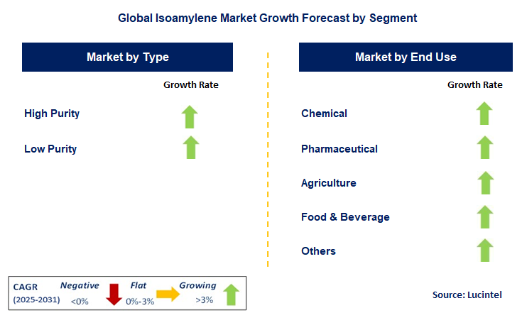 Isoamylene Market by Segment