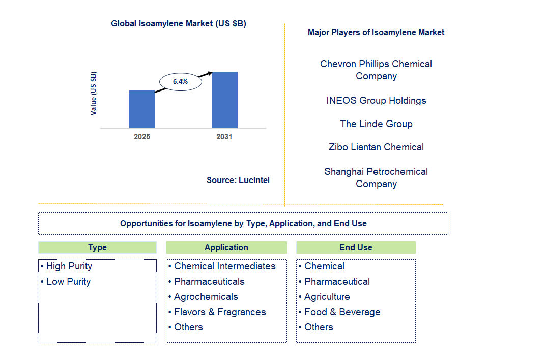 Isoamylene Market Trends and Forecast