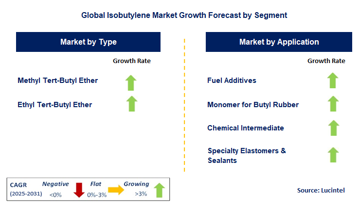 Isobutylene Market by Segment