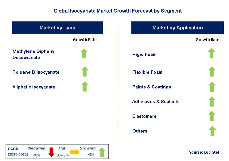 Isocyanate Market by Segment