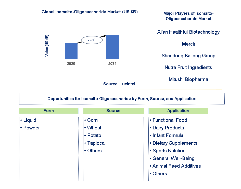 Isomalto-Oligosaccharide Market Trends and Forecast