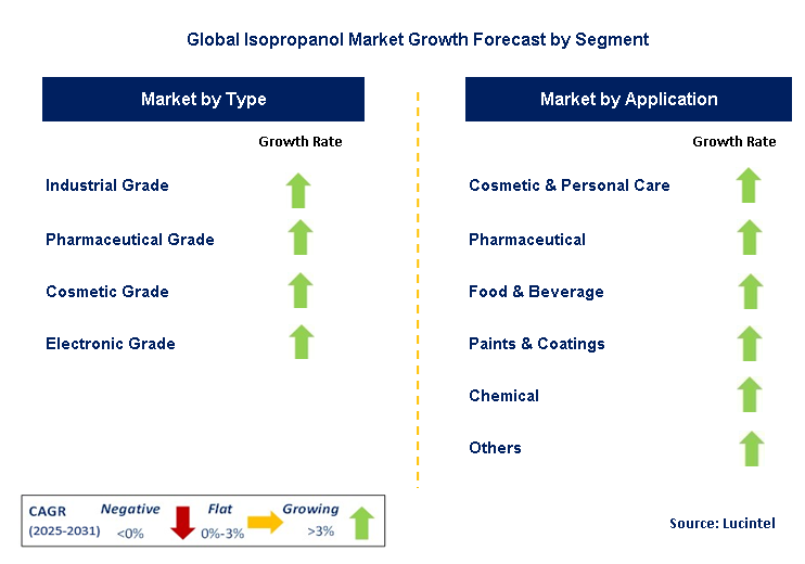 Isopropanol Market by Segment