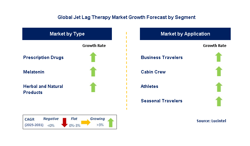 Jet Lag Therapy Market by Segment