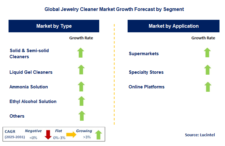 Jewelry Cleaner Market by Segment