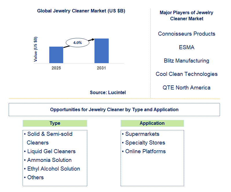 Jewelry Cleaner Market Trends and Forecast