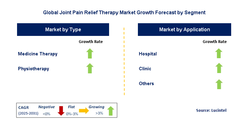 Joint Pain Relief Therapy Market by Segment