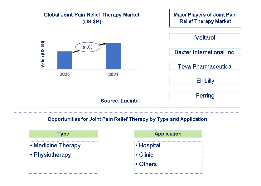 Joint Pain Relief Therapy Market Trends and Forecast