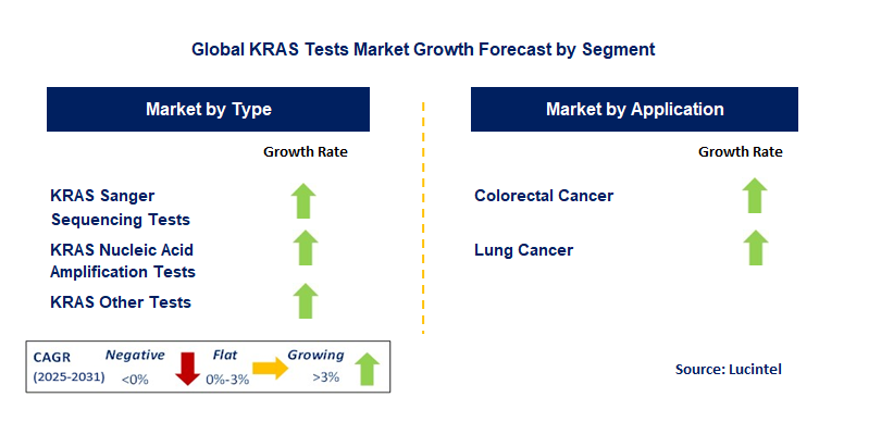 KRAS Tests Market by Segment