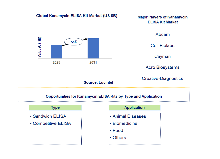 Kanamycin ELISA Kit Market Trends and Forecast