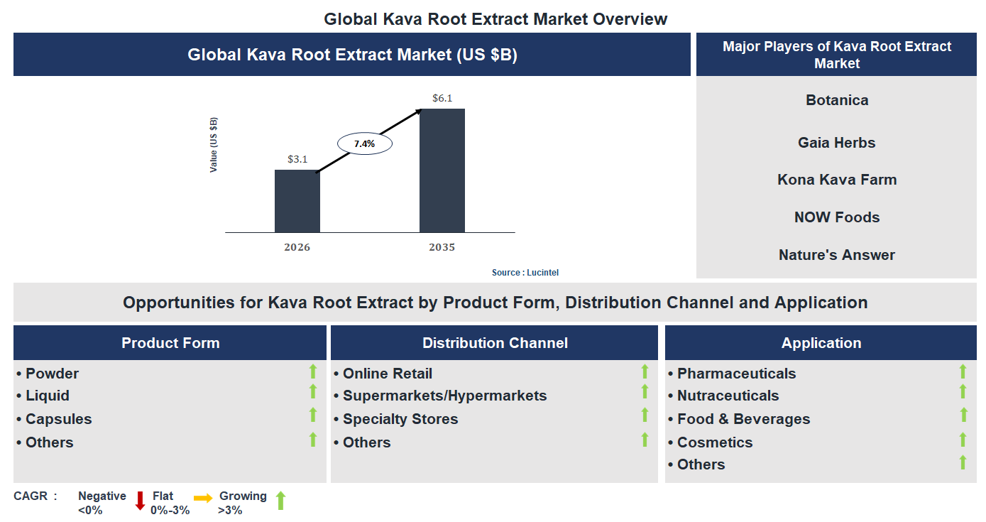 Kava Root Extract Market Trends and Forecast