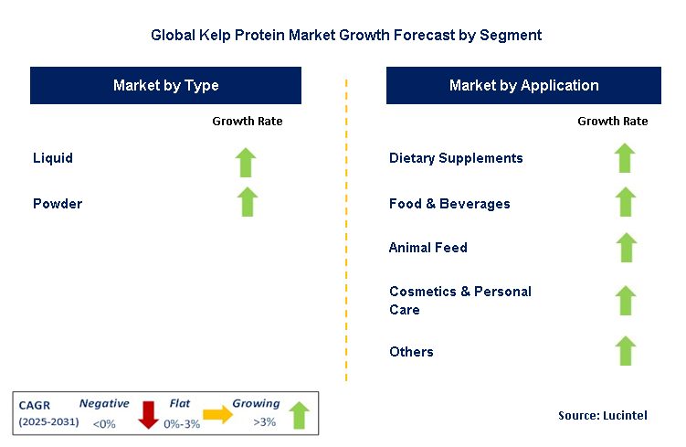 Kelp Protein Market by Segment