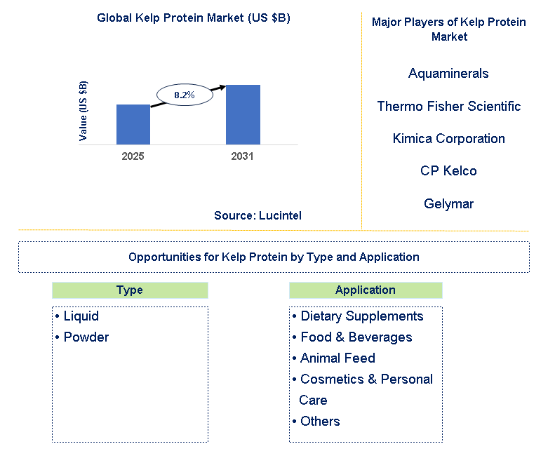 Kelp Protein Market Trends and Forecast