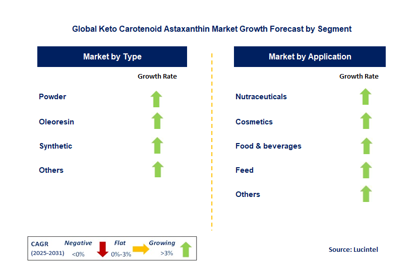 Keto Carotenoid Astaxanthin Market by Segment