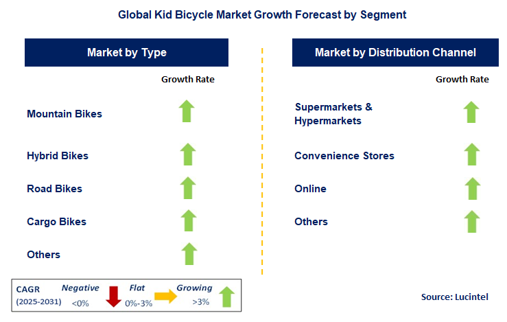 Kid Bicycle Market by Segment