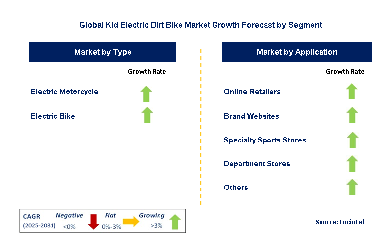 Kid Electric Dirt Bike Market by Segment