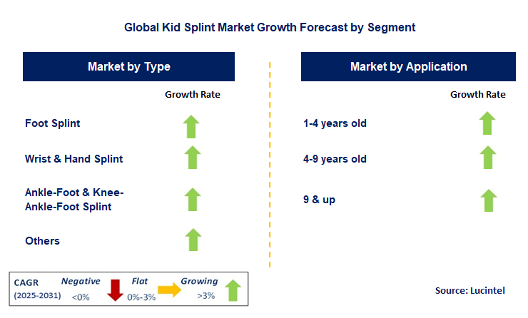 Kid Splint Market by Segment