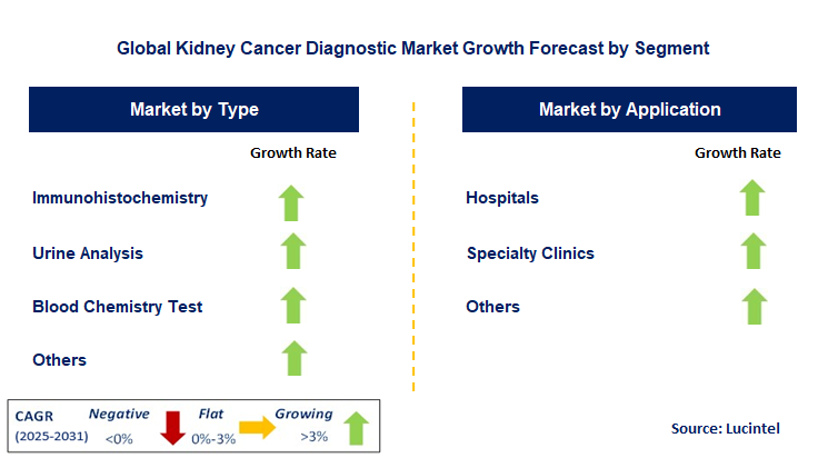 Kidney Cancer Diagnostic Market by Segment