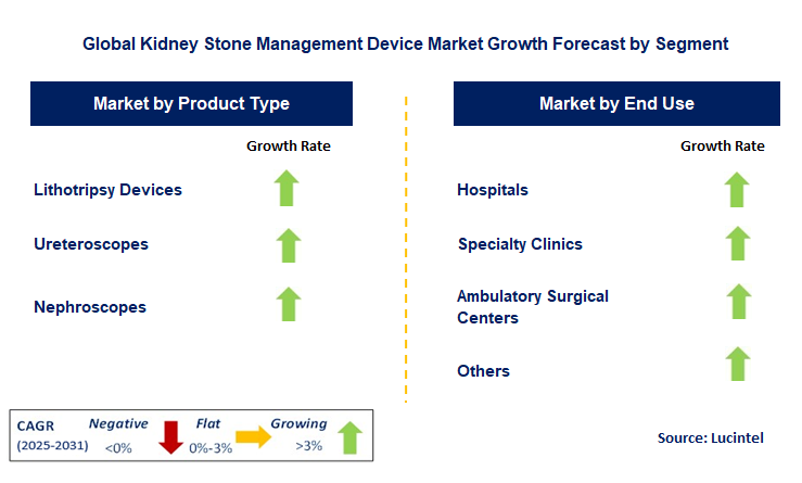 Kidney Stone Management Device Market by Segment