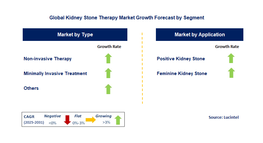 Kidney Stone Therapy Market by Segment
