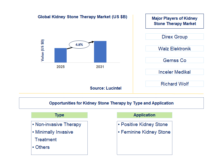 Kidney Stone Therapy Market Trends and Forecast