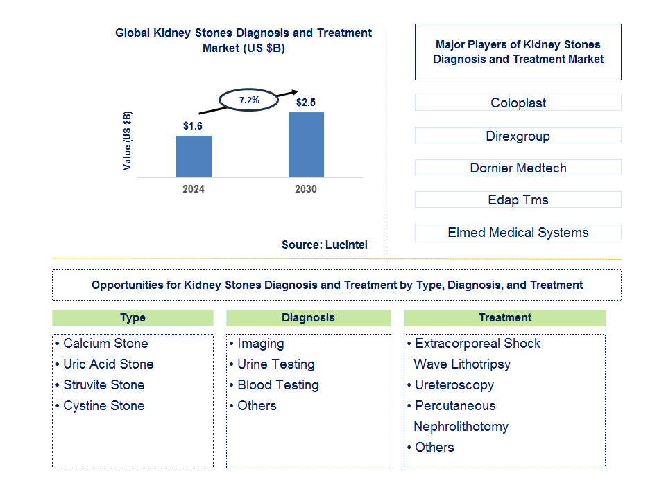 Kidney Stones Diagnosis and Treatment Trends and Forecast