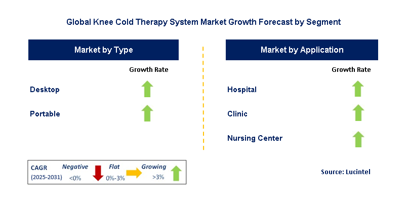 Knee Cold Therapy System Market by Segment