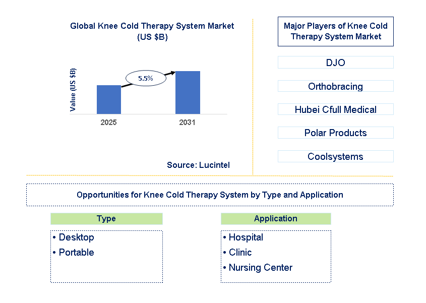 Knee Cold Therapy System Market Trends and Forecast
