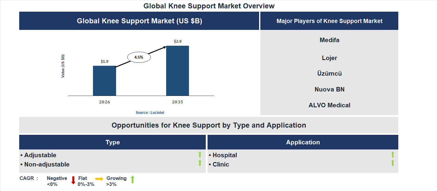 Knee Support Market Trends and Forecast