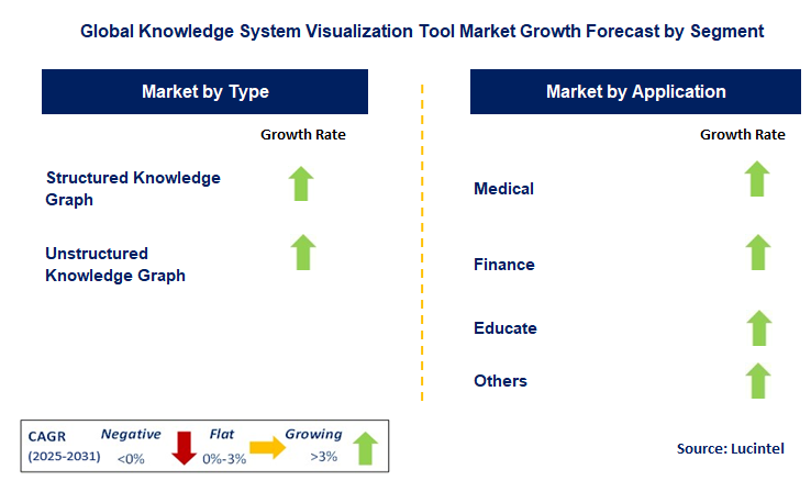 Knowledge System Visualization Tool Market by Segment