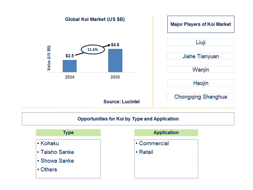 Koi Trends and Forecast